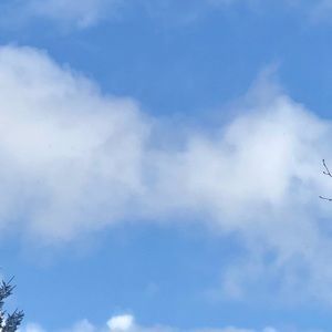 Meet your Posher, Grayson